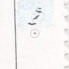Billede
